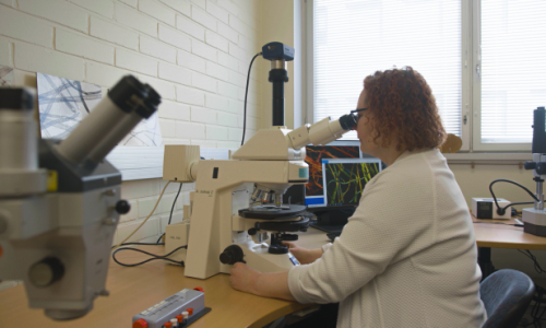 Microscopy_small Microscopy_small